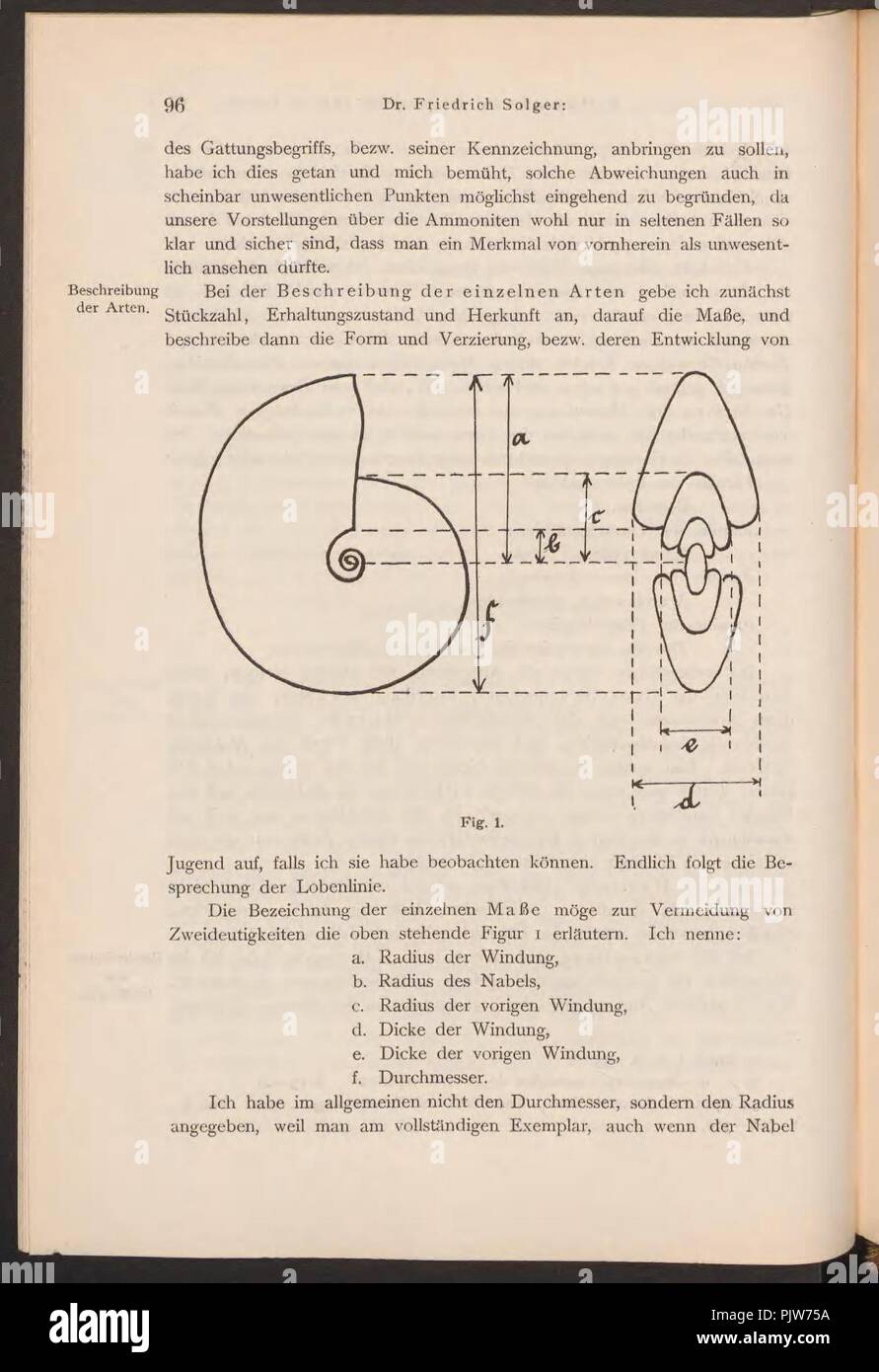 Beiträge zur Geologie von Kamerun (Page 96) Stock Photo