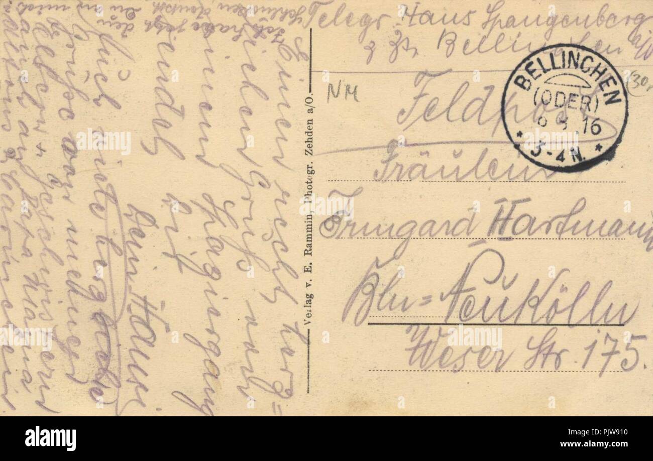 Bellinchen a. d. Oder, Ostbrandenburg - Armiers Gasthof, Bäckerei und Materialwarenhandlung; Wald; Schule (back) Stock Photo