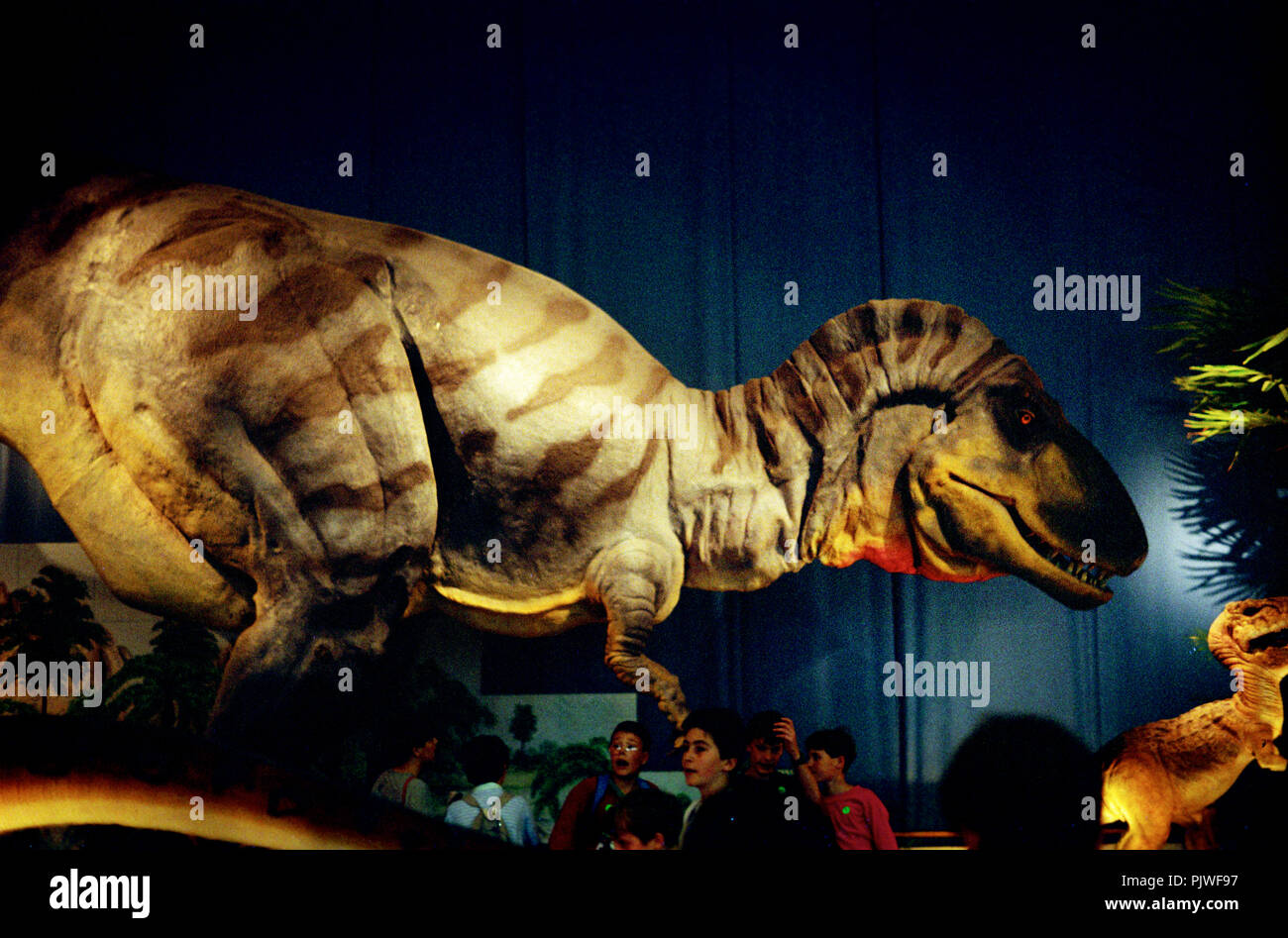The Dinosaur Gallery inside the Royal Belgian Institute of Natural Sciences in Brussels (Belgium, 05/1993) Stock Photo