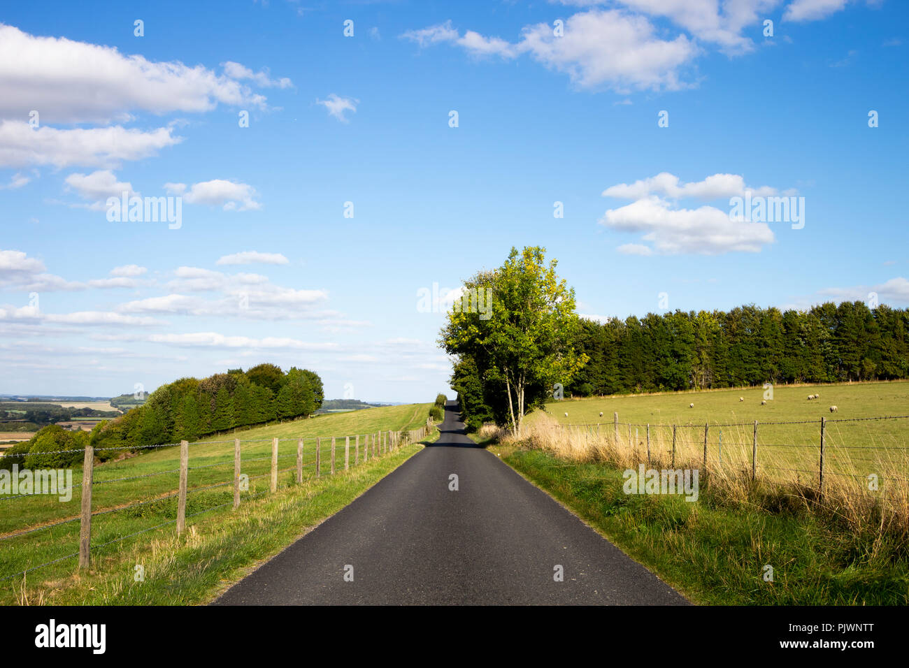 Narrow single track asphalt highway hi-res stock photography and images ...