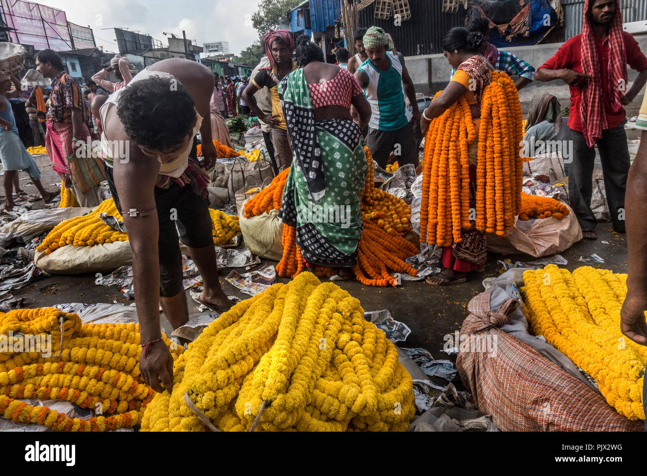 Flower growers hires stock photography and images Alamy