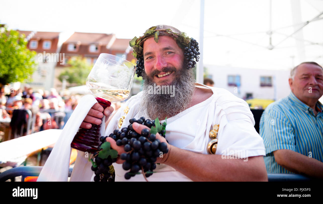 Freyburg, Germany. 09th Sep, 2018. 09.09.2018, Saxony-Anhalt, Freyburg: An actor dressed up as Bacchus, god of wine, presents himself at the wine festival with a large glass of wine and dark grapes. Photo: Alexander Prauzsch/dpa Credit: dpa picture alliance/Alamy Live News Stock Photo