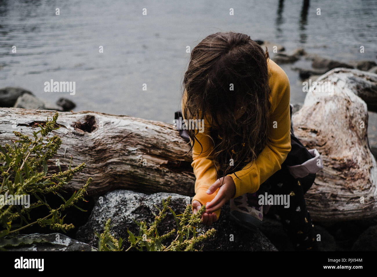 Girl discovering nature by sea, Tofino, Canada Stock Photo