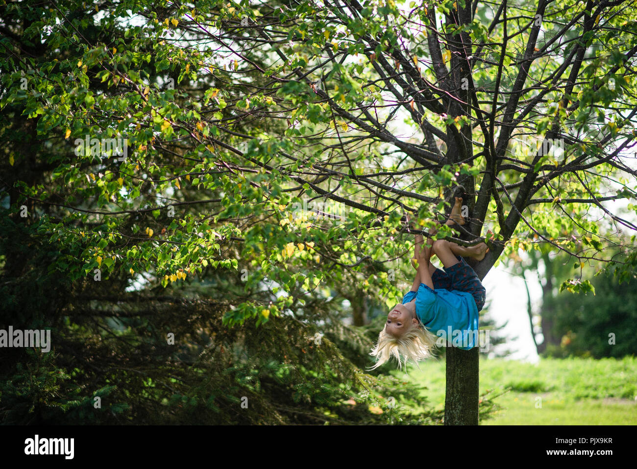 Boy hanging upside down on tree Stock Photo