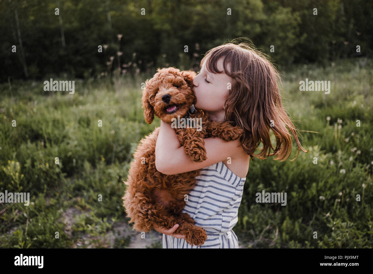 Puppy turning away from girl's kisses Stock Photo