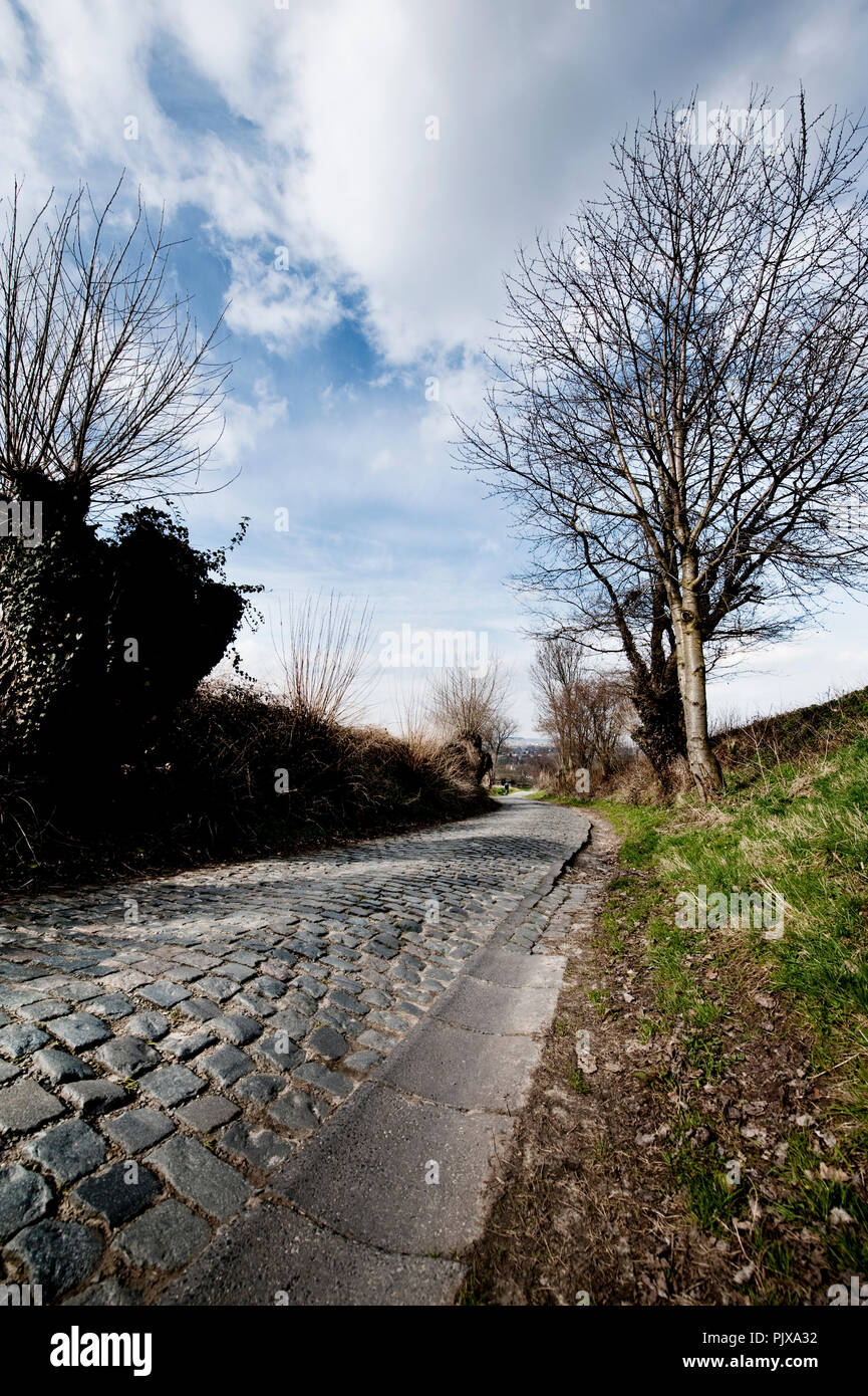 The Oude Kwaremont hill in Kluisbergen, one of the legendary hills on