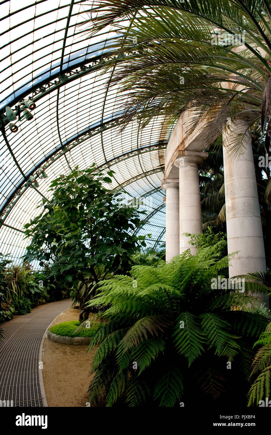 The Royal Greenhouses of Belgium in Laeken, Brussels (Belgium, 30/04/2010) Stock Photo