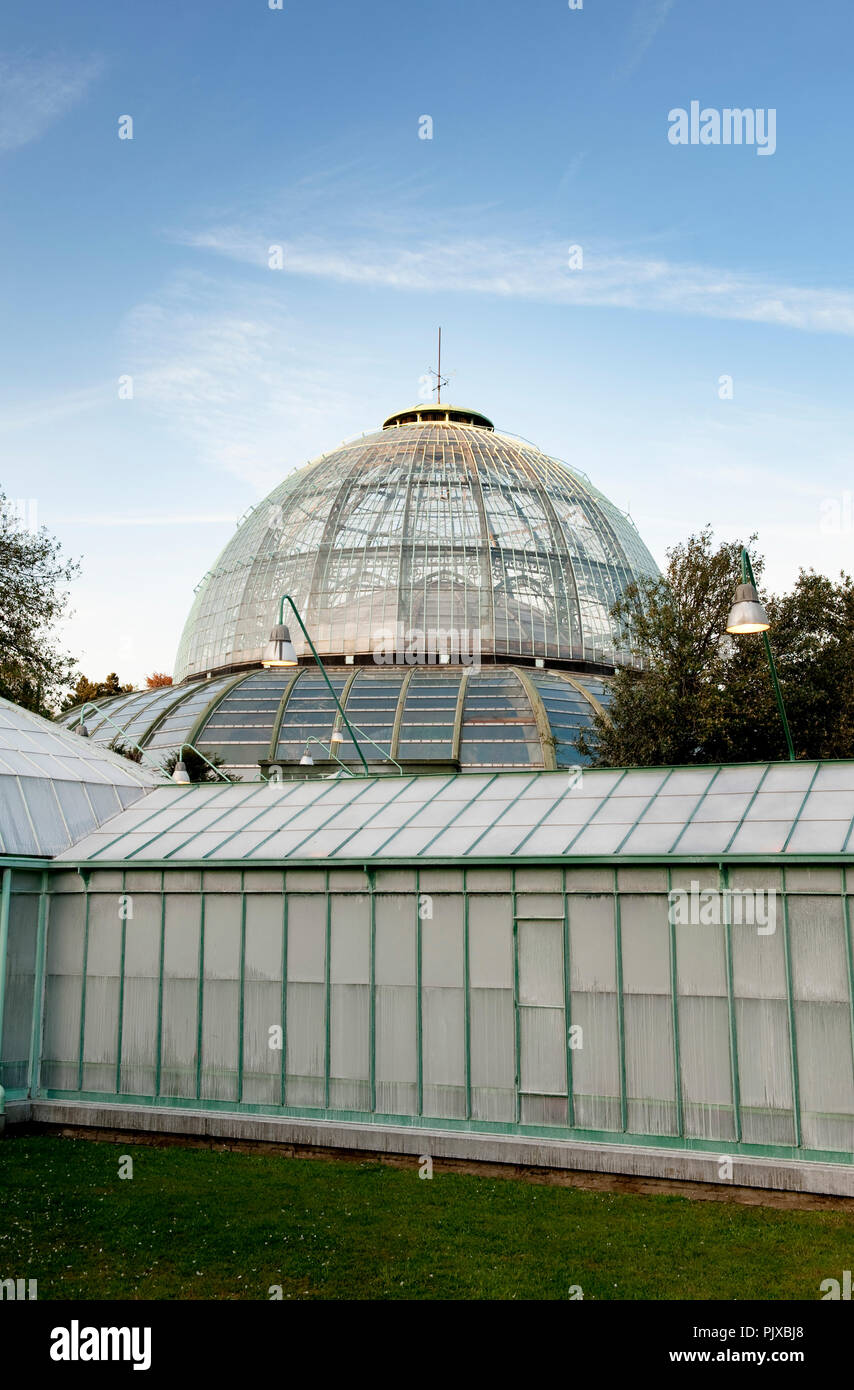 The Royal Greenhouses of Belgium in Laeken, Brussels (Belgium, 30/04/2010) Stock Photo
