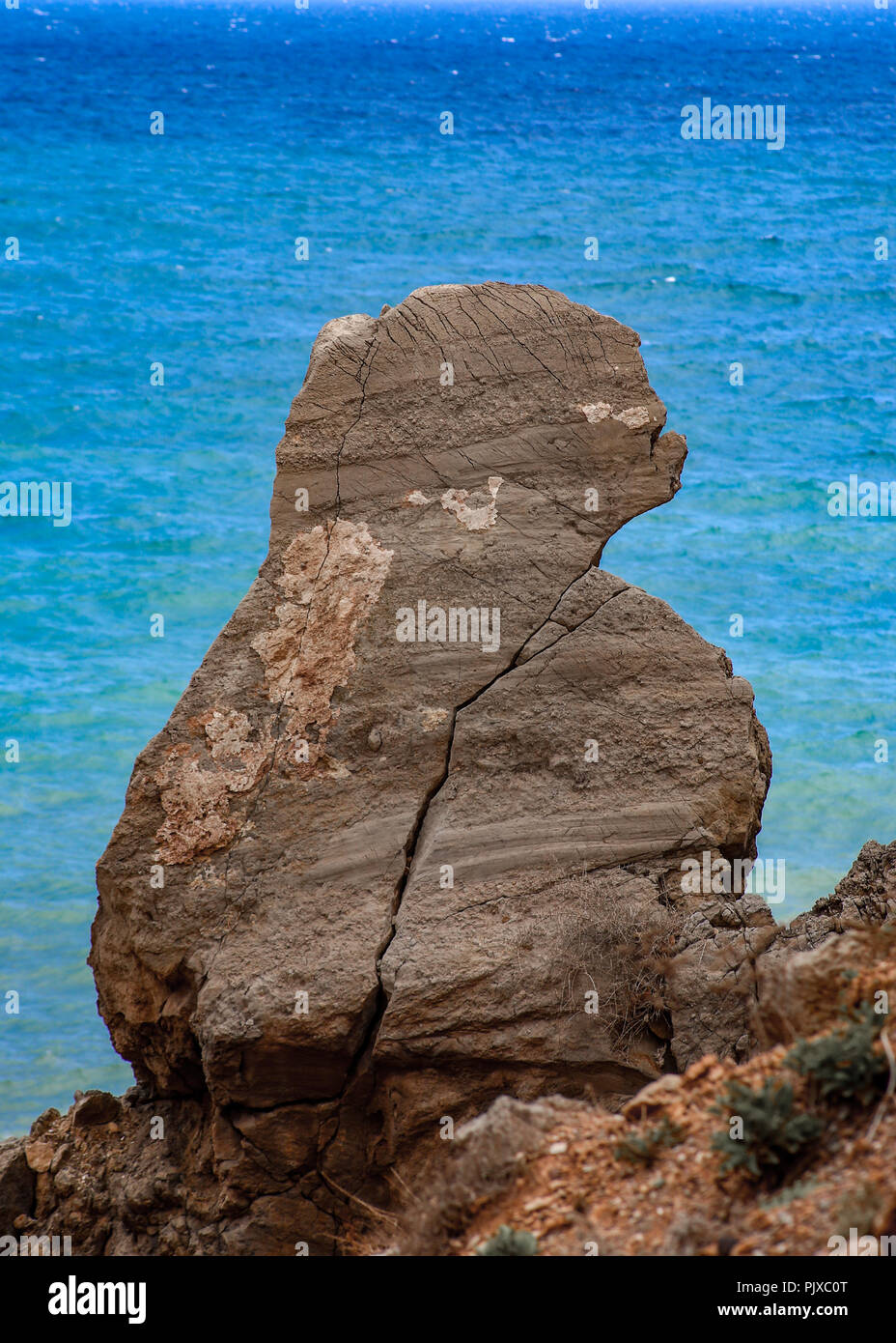 Gorilla rock hi-res stock photography and images - Alamy