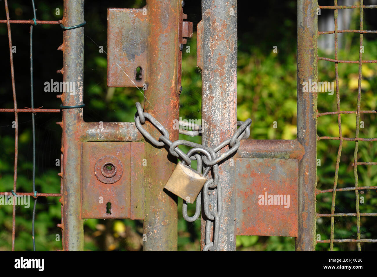 Old rusty gate and castles of metal, Germany, Europe Stock Photo