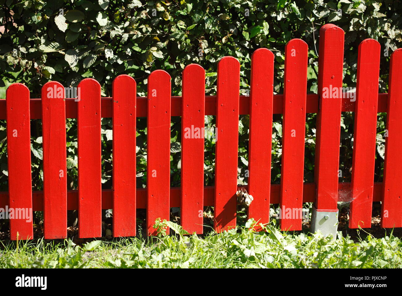 Red wooden garden Fence Stock Photo Alamy