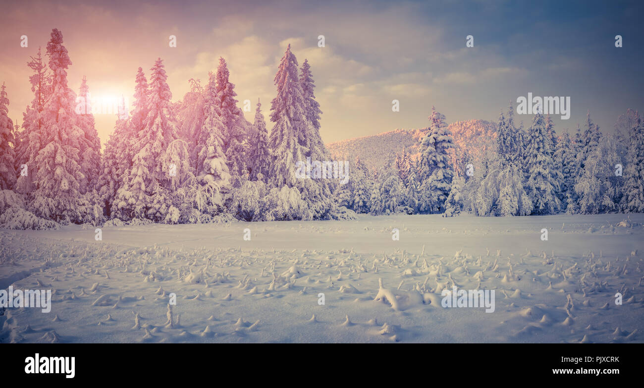 Panorama of the winter sunrise in the mountains. Retro style. Stock Photo