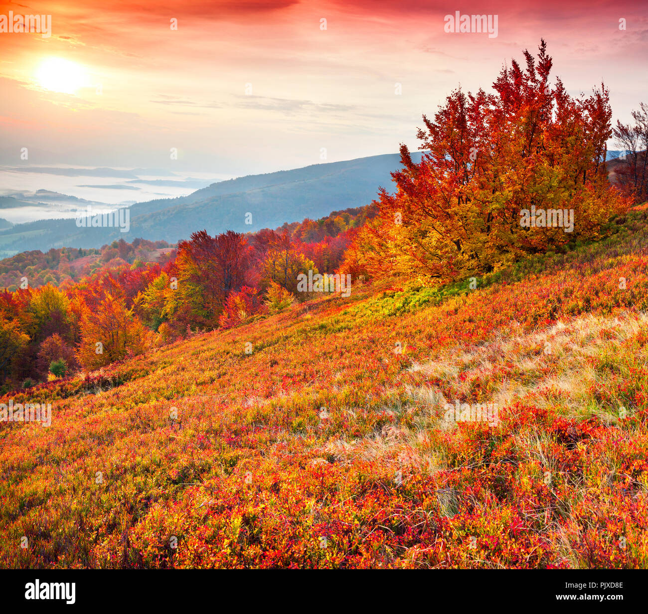 Beautiful summer landscape in the mountains. Red sunrise Stock Photo