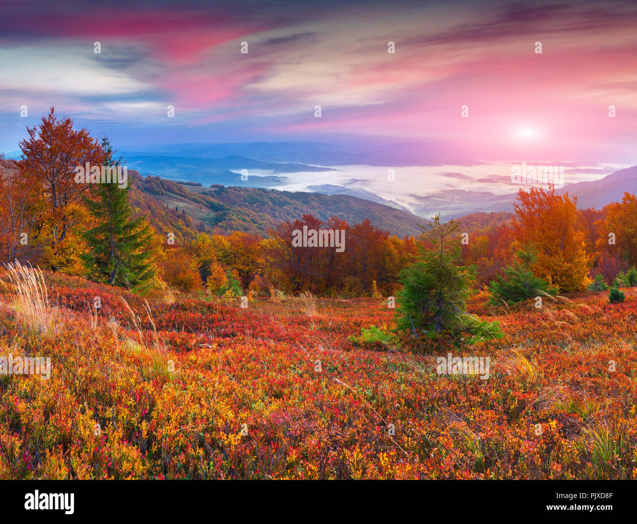 Colorful autumn sunrise in the mountains Stock Photo
