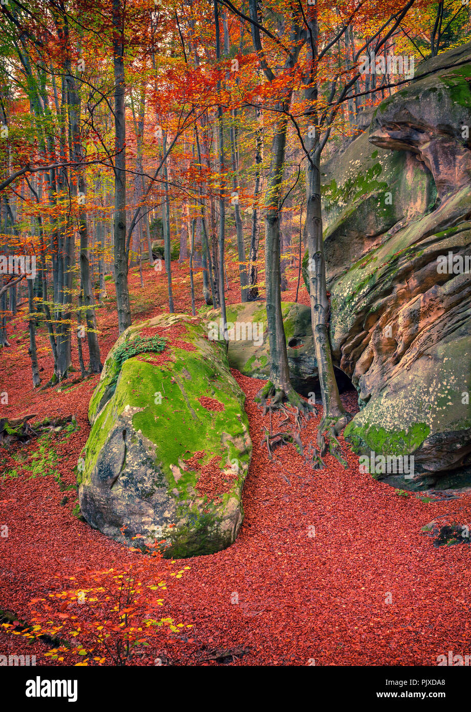 Huge rock in the autumn forest. Retro style. Stock Photo