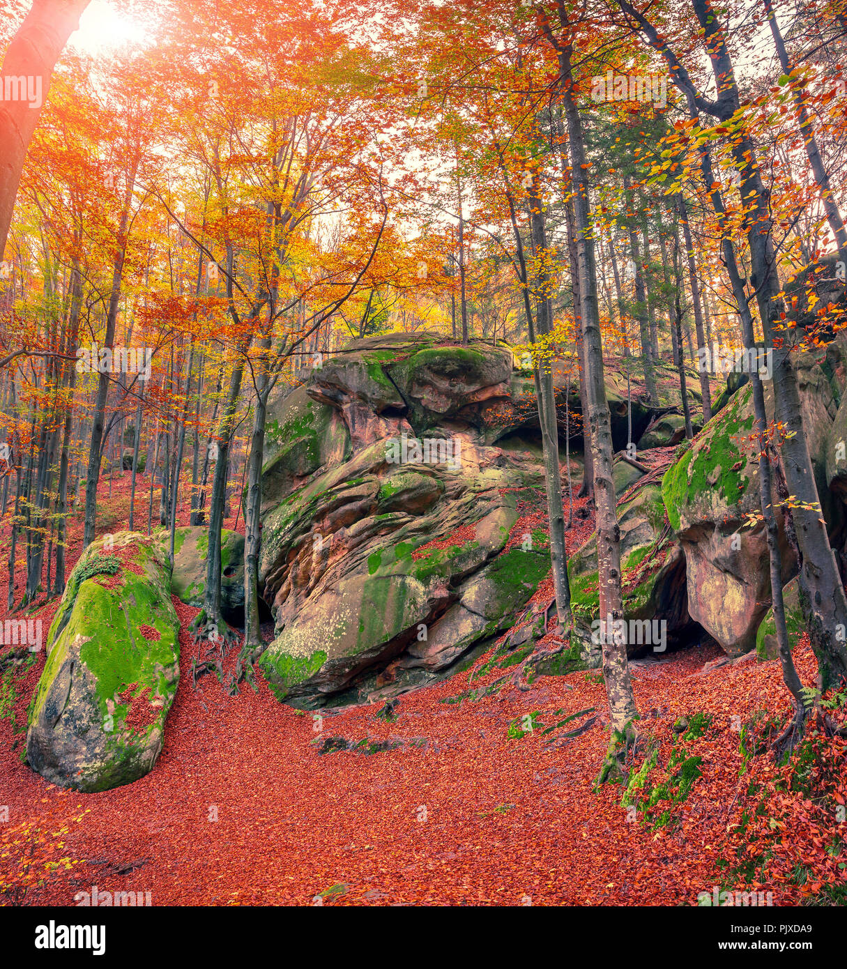 Huge rock in the autumn forest. Retro style. Stock Photo