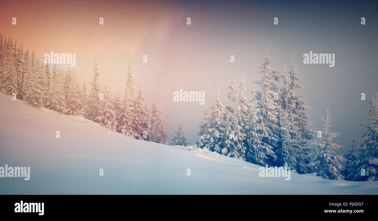 Panorama of the winter sunrise in the mountain forest. Retro style. Stock Photo