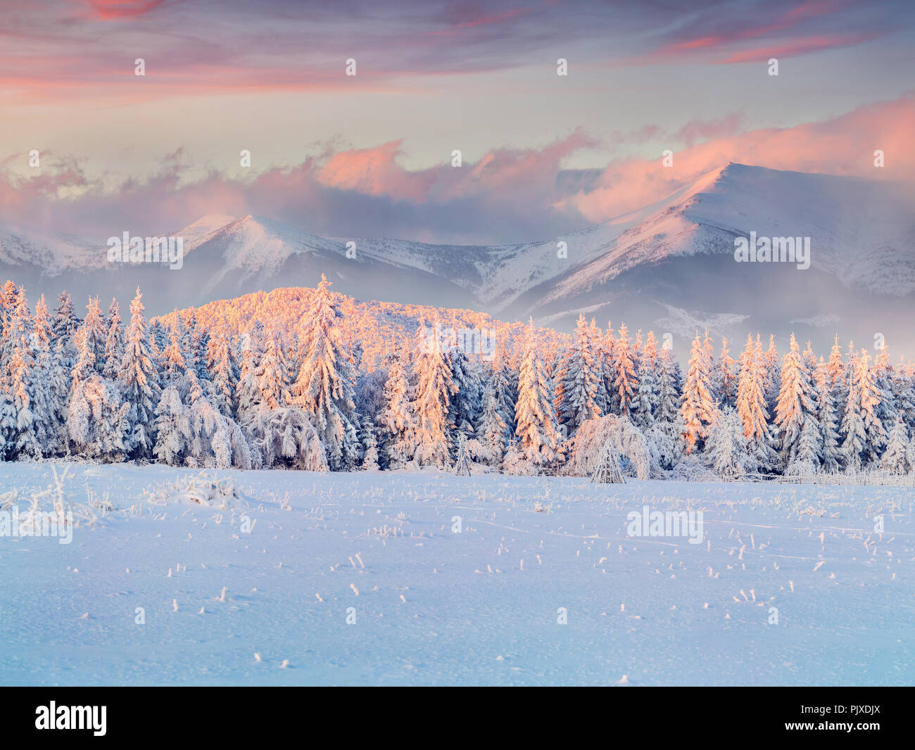 Foggy winter sunrise in the mountains Stock Photo