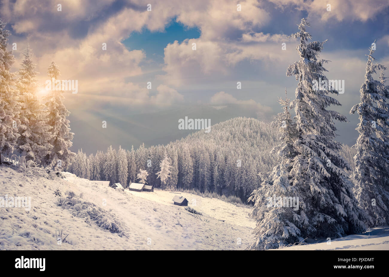 Beautiful winter landscape in the mountains Stock Photo