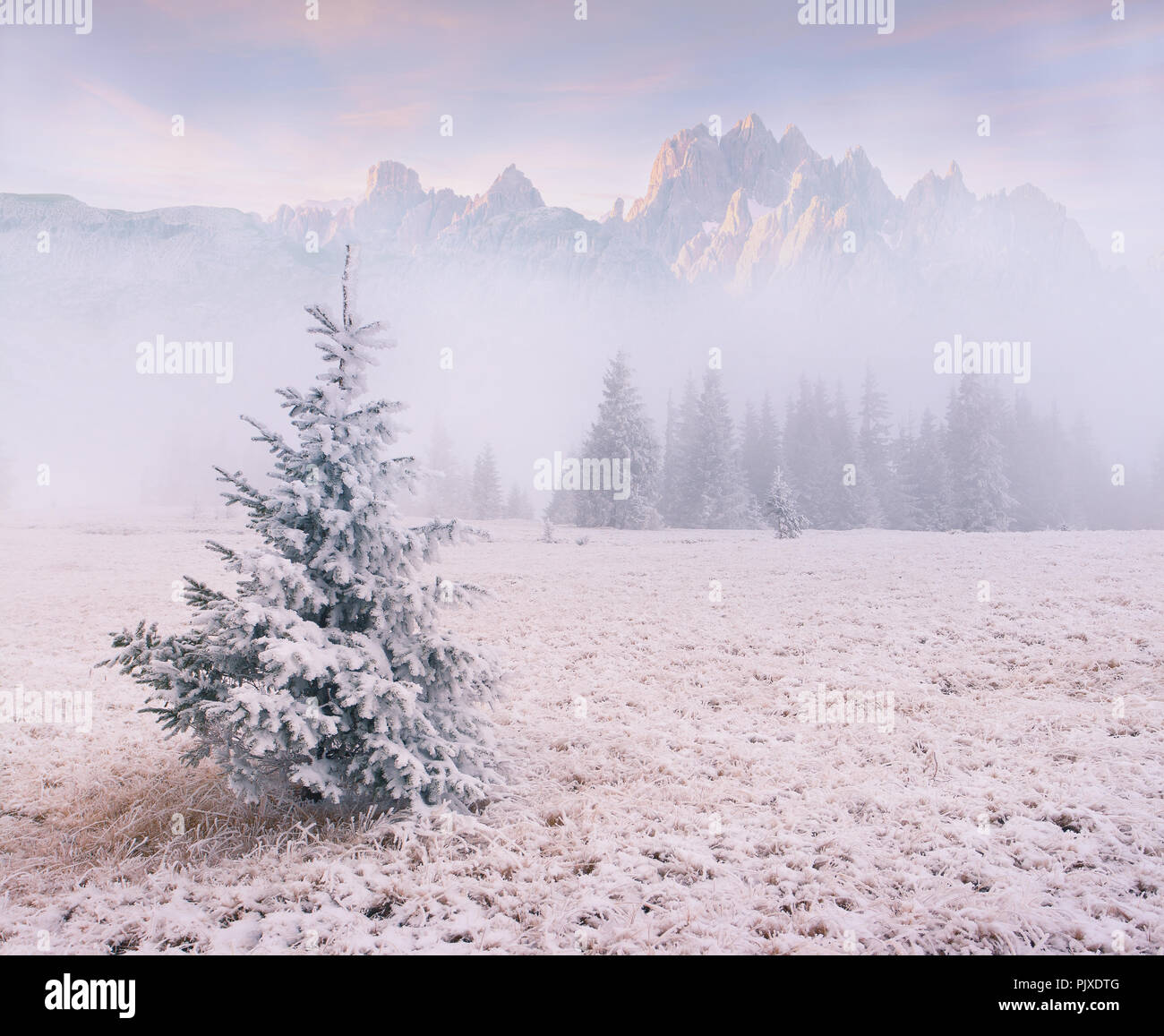 Foggy winter morning in the mountains Stock Photo