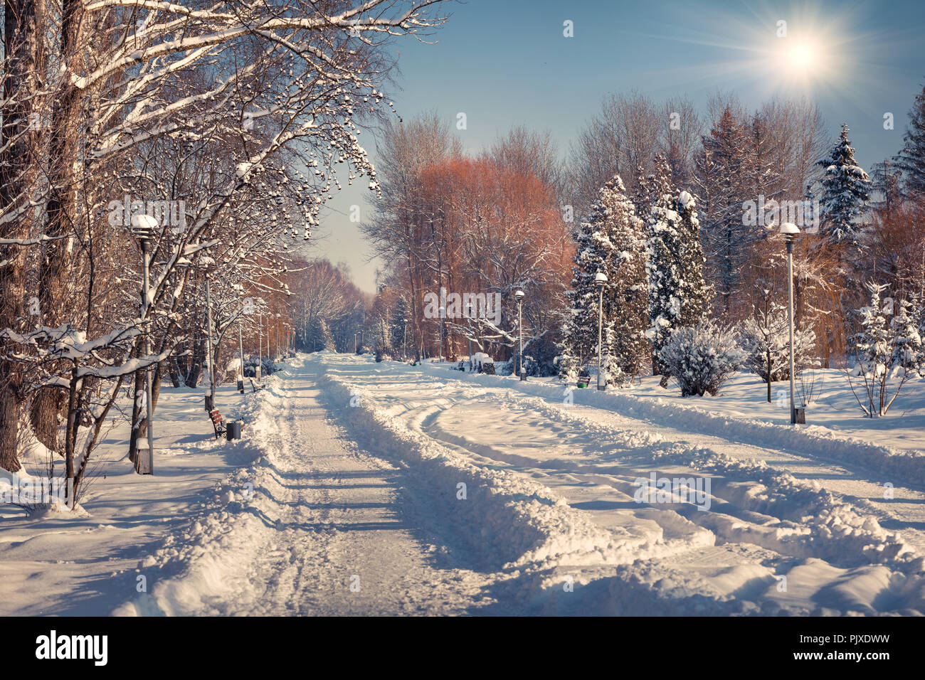 Beautiful winter landscape in the city park. Stock Photo