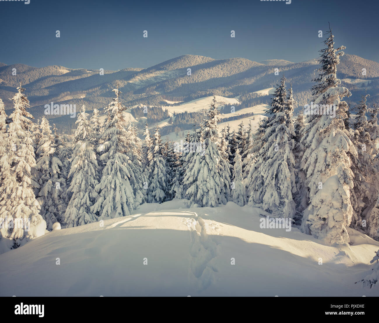 Beautiful winter landscape tree hi-res stock photography and images - Alamy