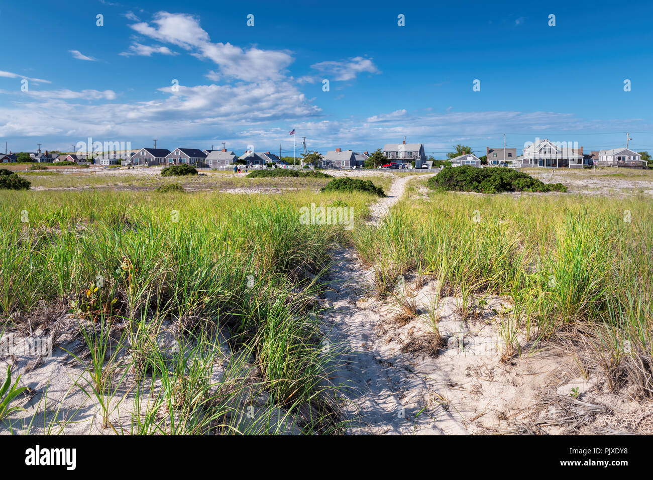 Sand dunes on Cape Cod beach Stock Photo