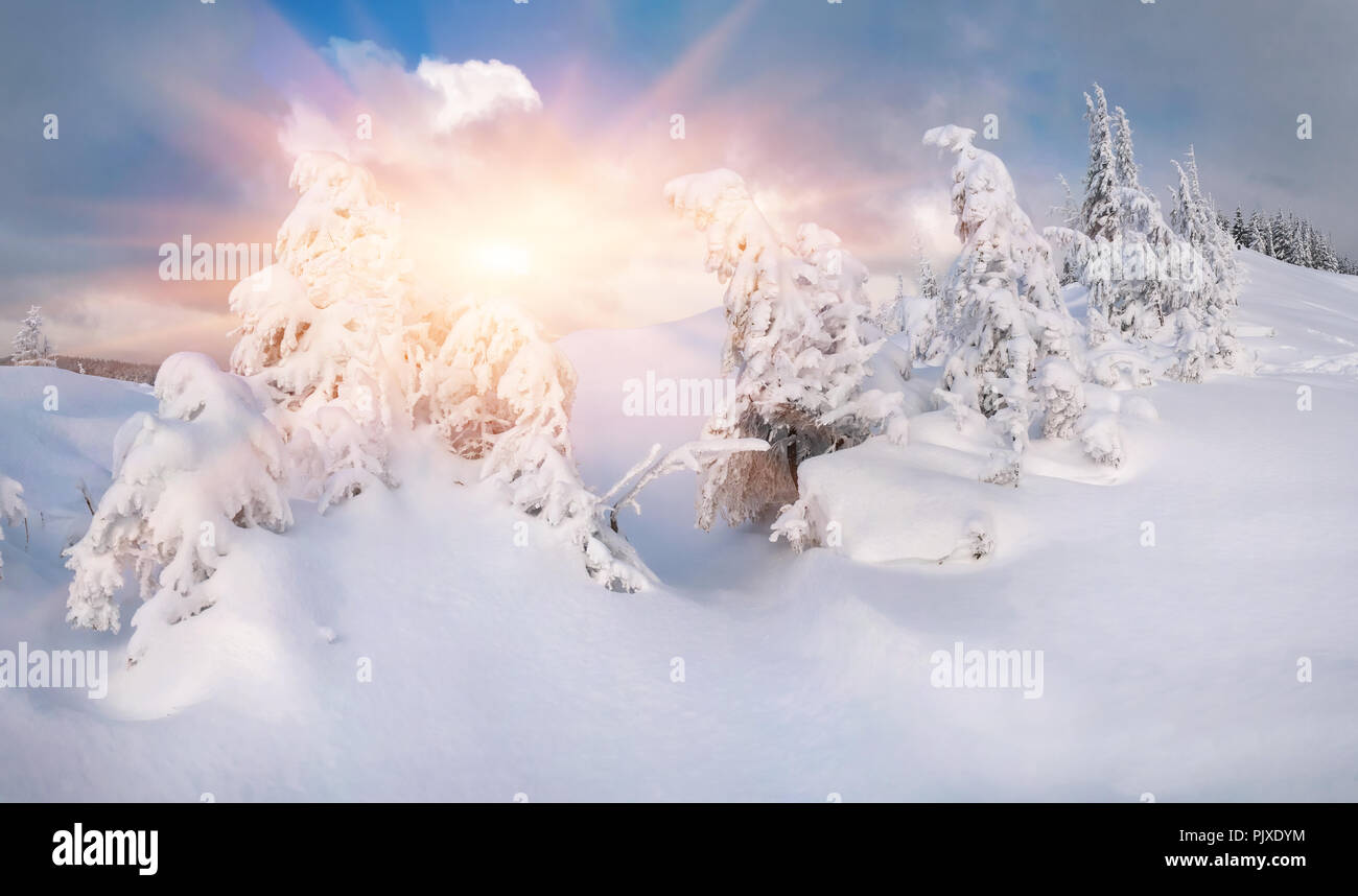 Beautiful winter landscape tree hi-res stock photography and images - Alamy