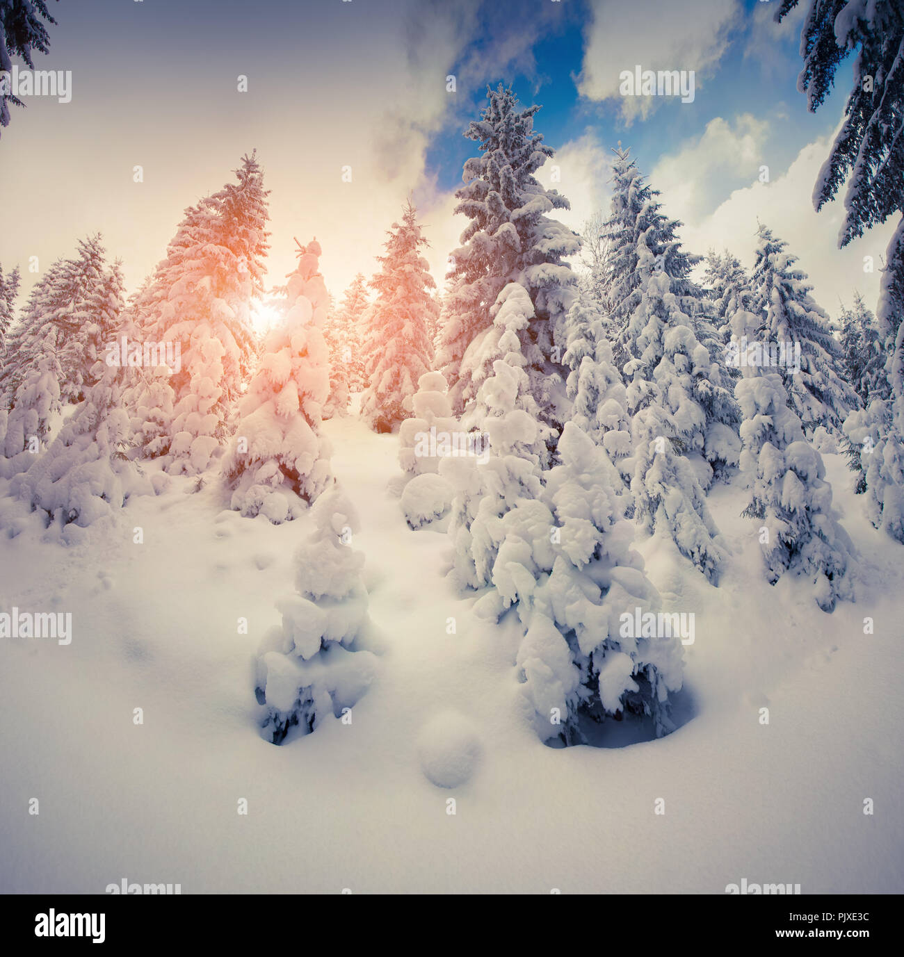 Beautiful winter sunrise in the mountain forest. Retro style. Stock Photo