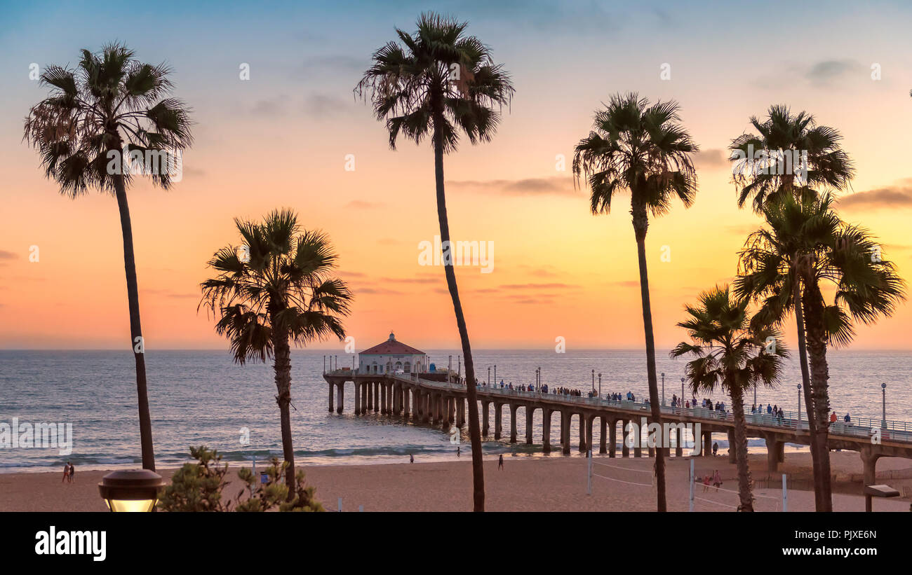 Palm trees and Pier on Manhattan Beach at sunset Stock Photo