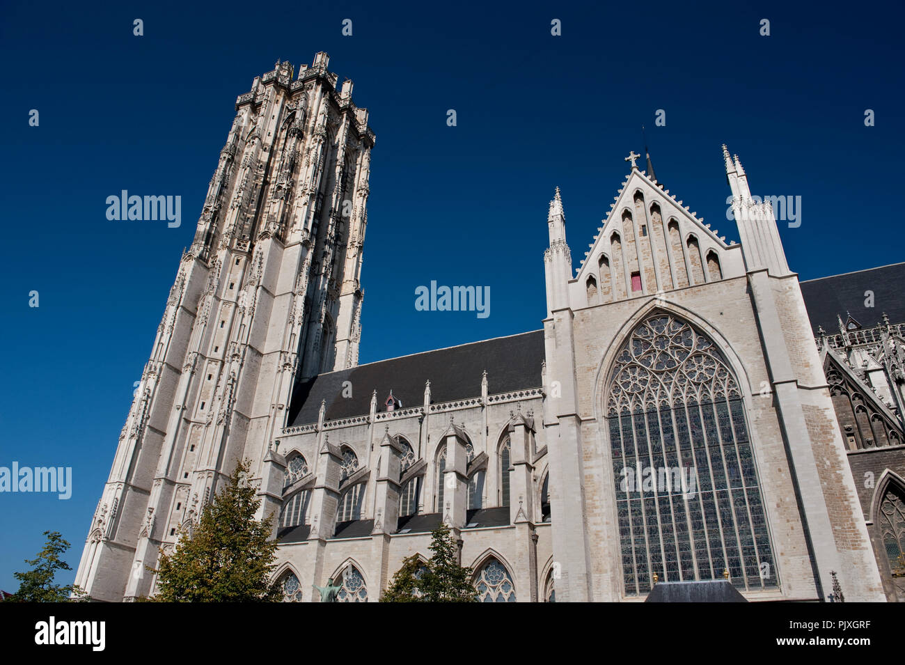 Cathedrale saint rombaut de malines hi-res stock photography and images ...