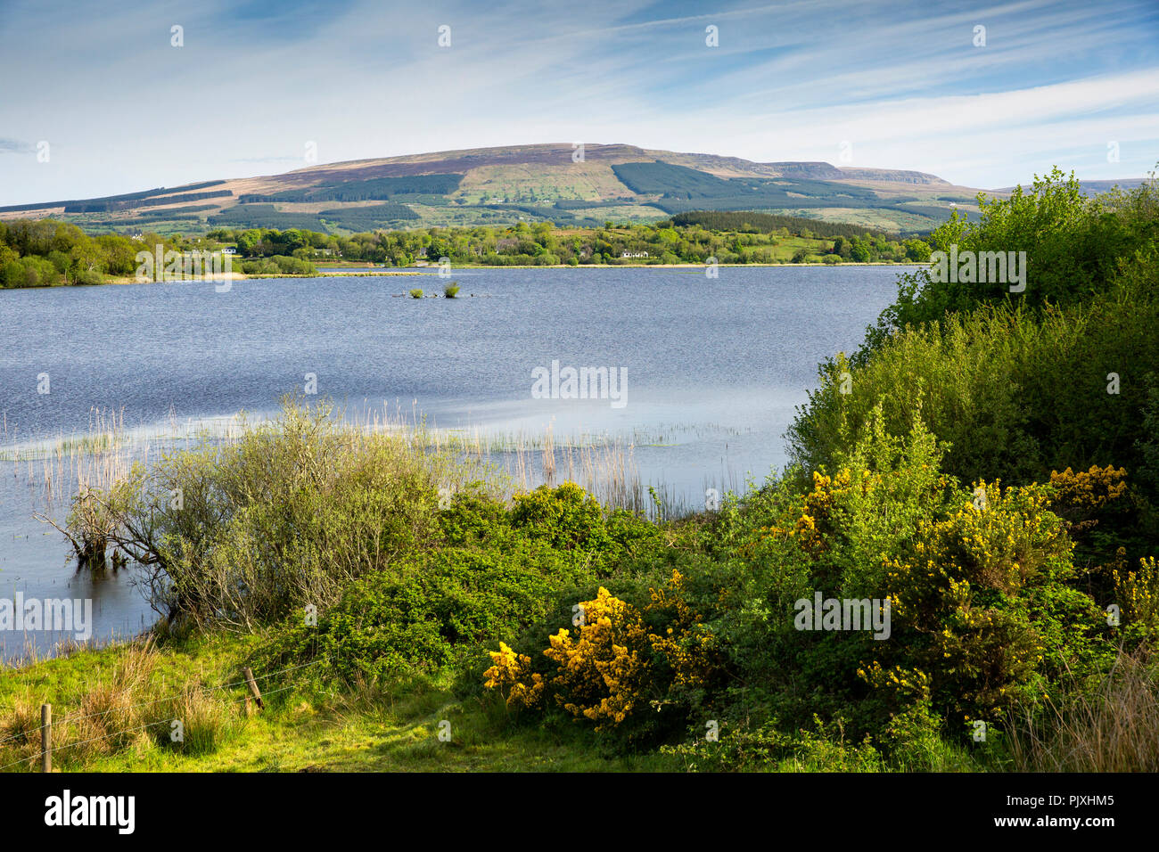 Ireland, Co Leitrim, Keshcarrigan, Lough Scur and Sliabh an Iarainn the Iron Mountain Stock Photo