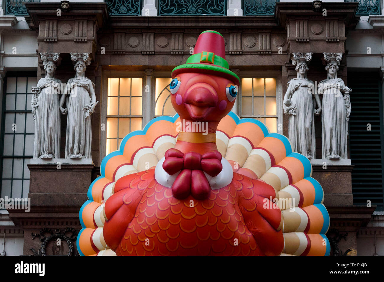 11-2017 New York, USA.  Thanksgiving Turkey in Manhattan. Photo: © Simon Grosset Stock Photo