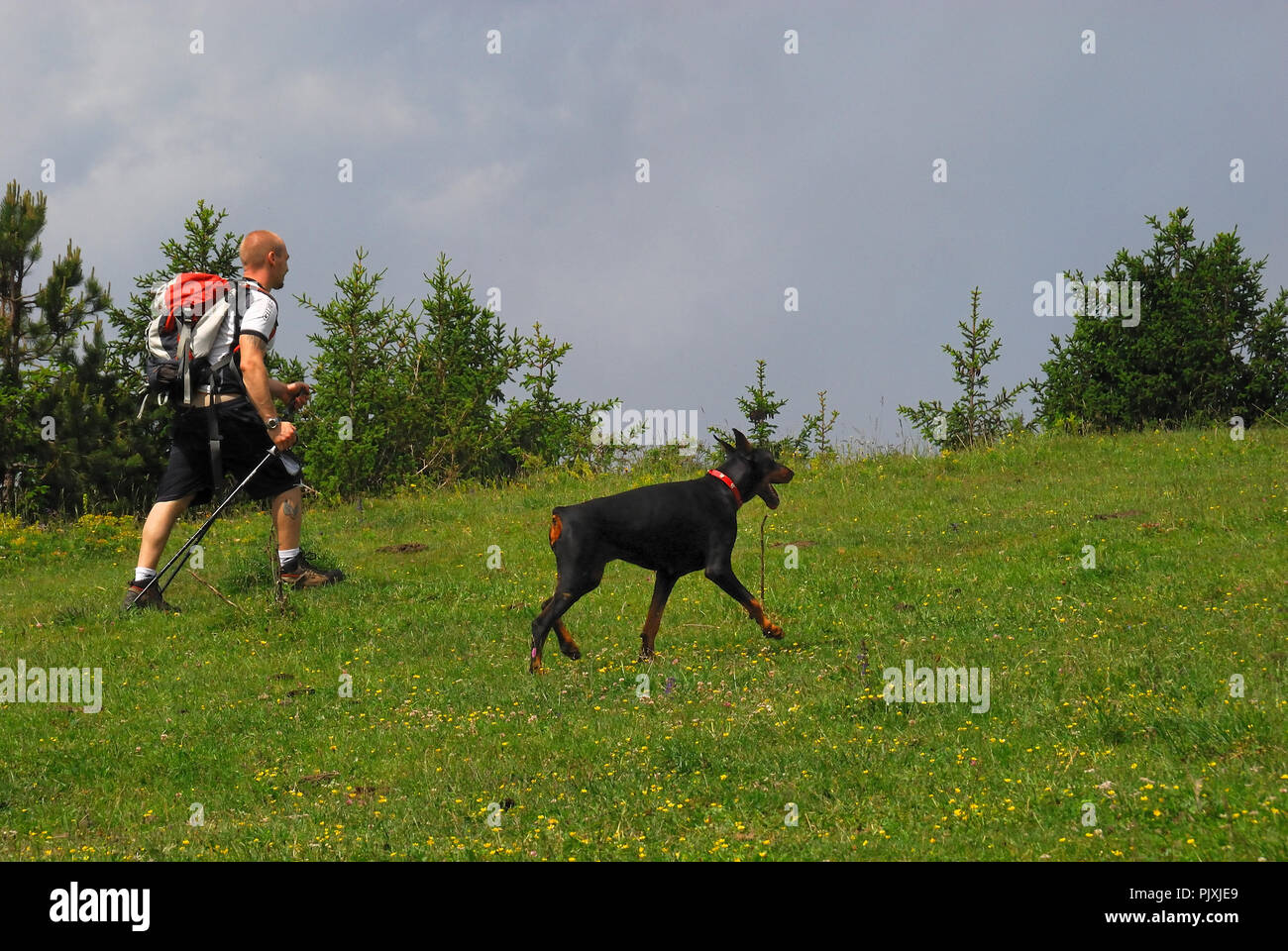 Mount Grappa, Veneto, italy. A young man goes trekking with his dobermann dog. Stock Photo