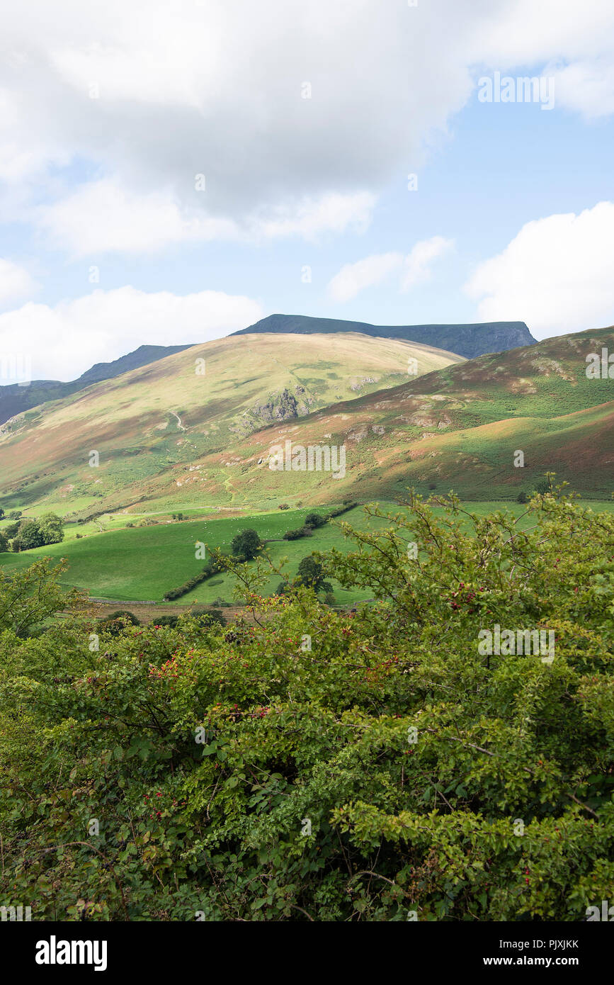 Saddleback hill hires stock photography and images Alamy