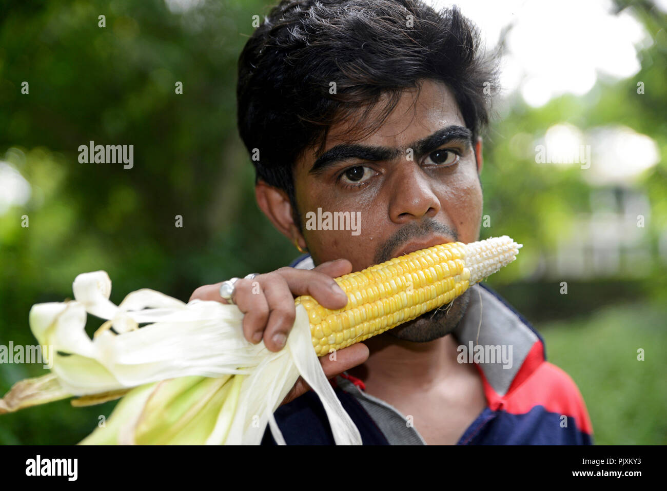 Woman eating corn cob hires stock photography and images Alamy