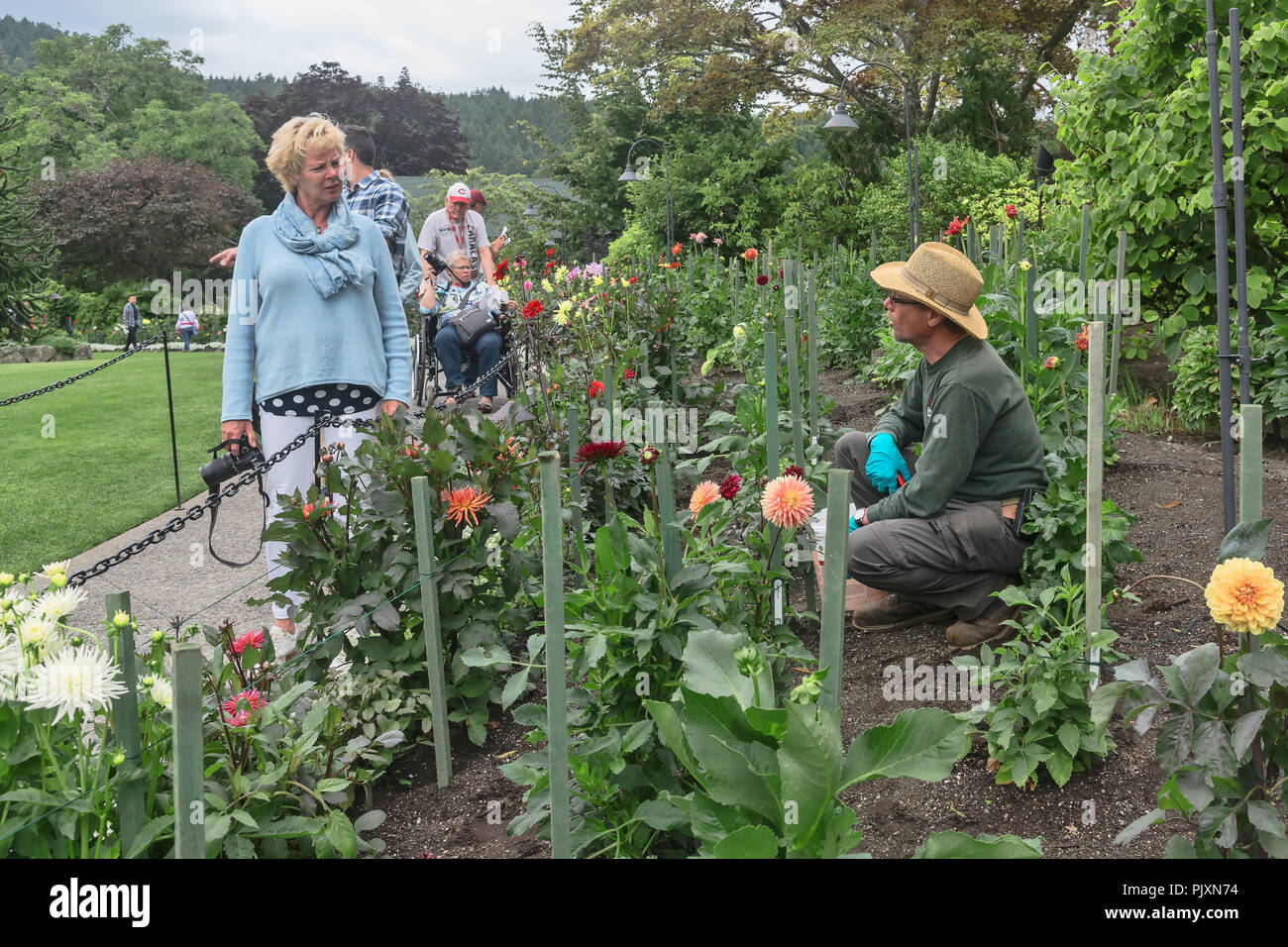 Gardener in straw hat assist visitor,The Butchart Gardens , Brentwood Bay, British Columbia, Canada Stock Photo