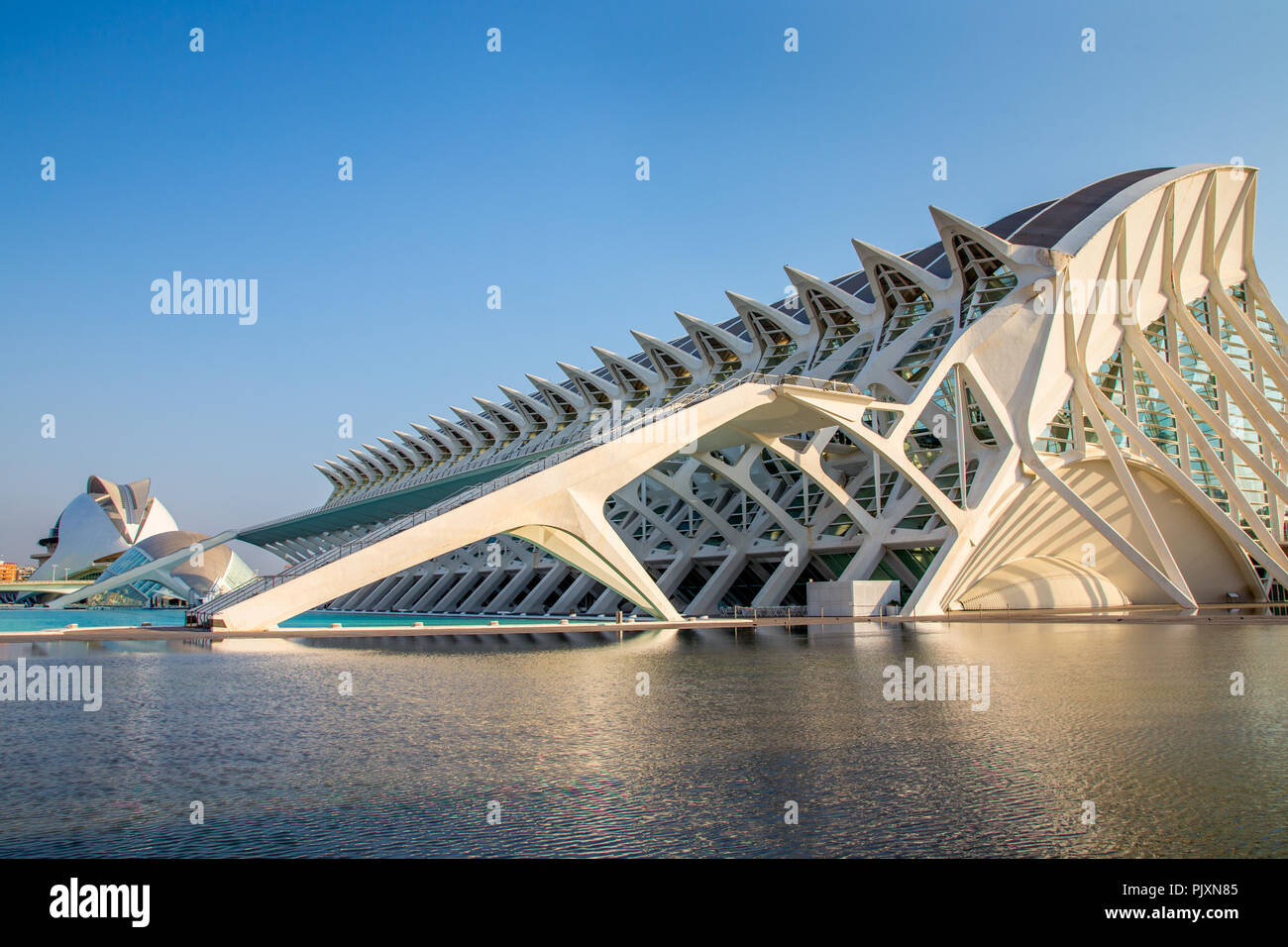 The science museum in the City of Arts and Sciences in Valencia, Spain Stock Photo