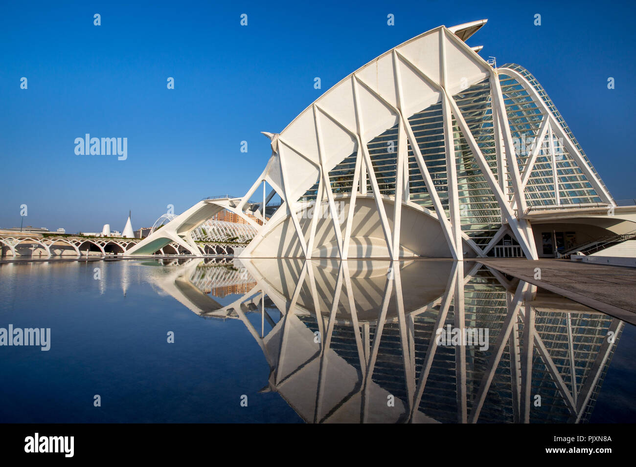 The science museum in the City of Arts and Sciences in Valencia, Spain Stock Photo