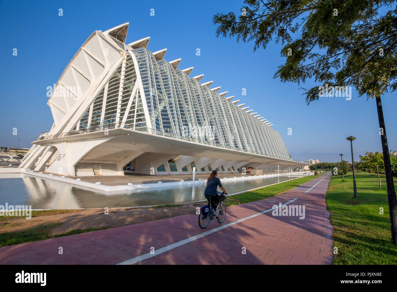 The science museum in the City of Arts and Sciences in Valencia, Spain Stock Photo