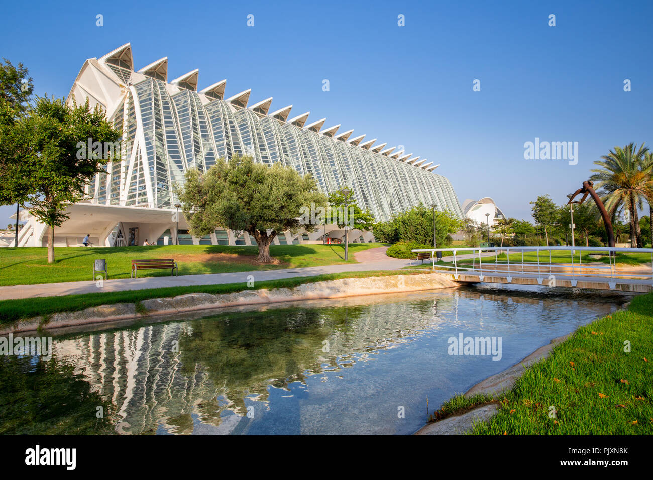 The science museum seen from the Turia gardens in the City of Arts and Sciences in Valencia, Spain Stock Photo