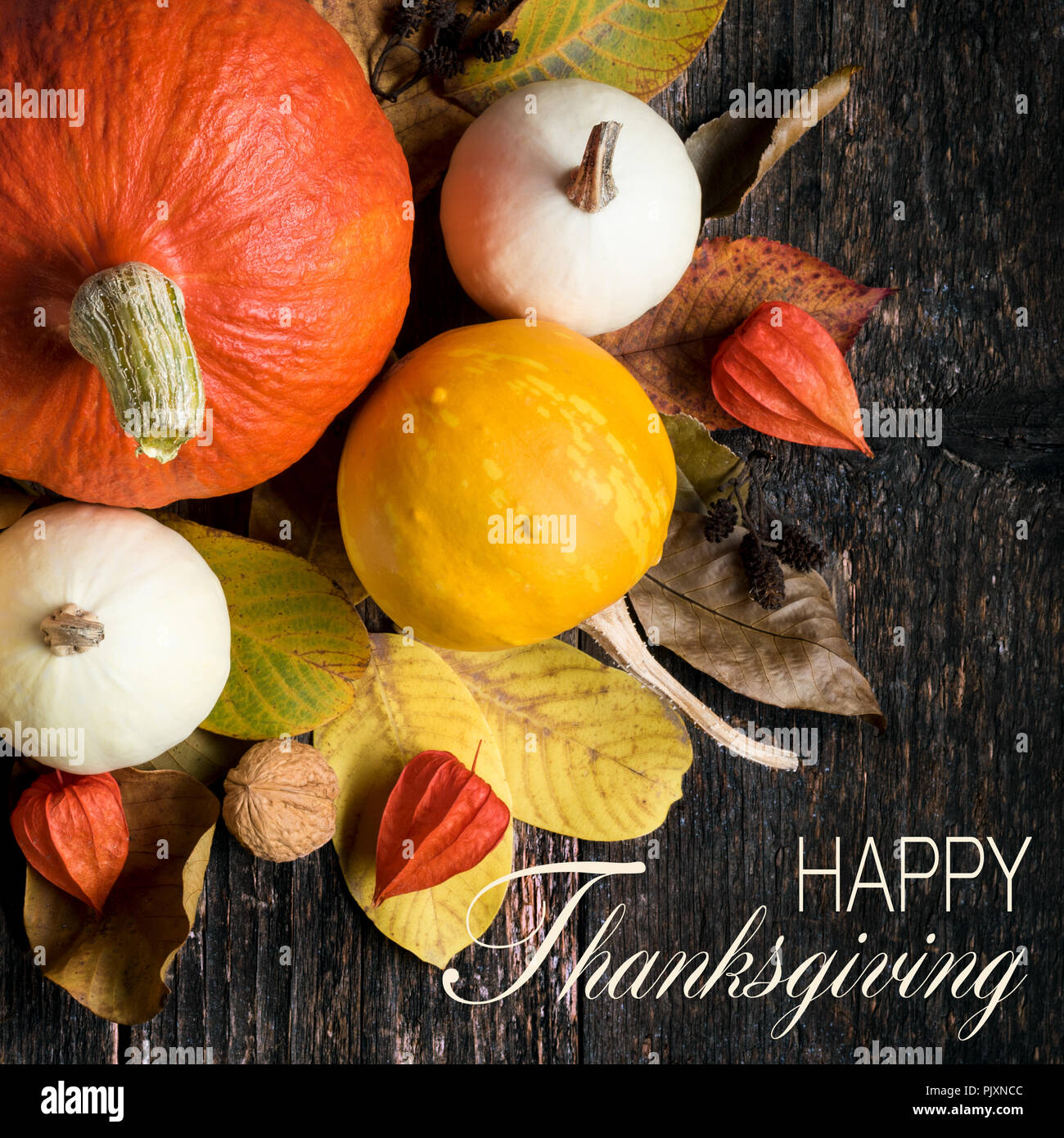 Autumn Harvest and Holiday still life. Happy Thanksgiving Banner. Selection of various pumpkins on dark wooden background. Autumn vegetables and seaso Stock Photo