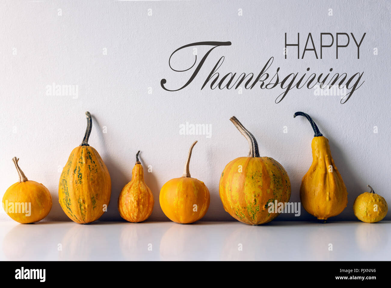 Autumn Harvest and Holiday still life. Happy Thanksgiving Banner. Selection of various pumpkins on dark wooden background. Autumn vegetables and seaso Stock Photo