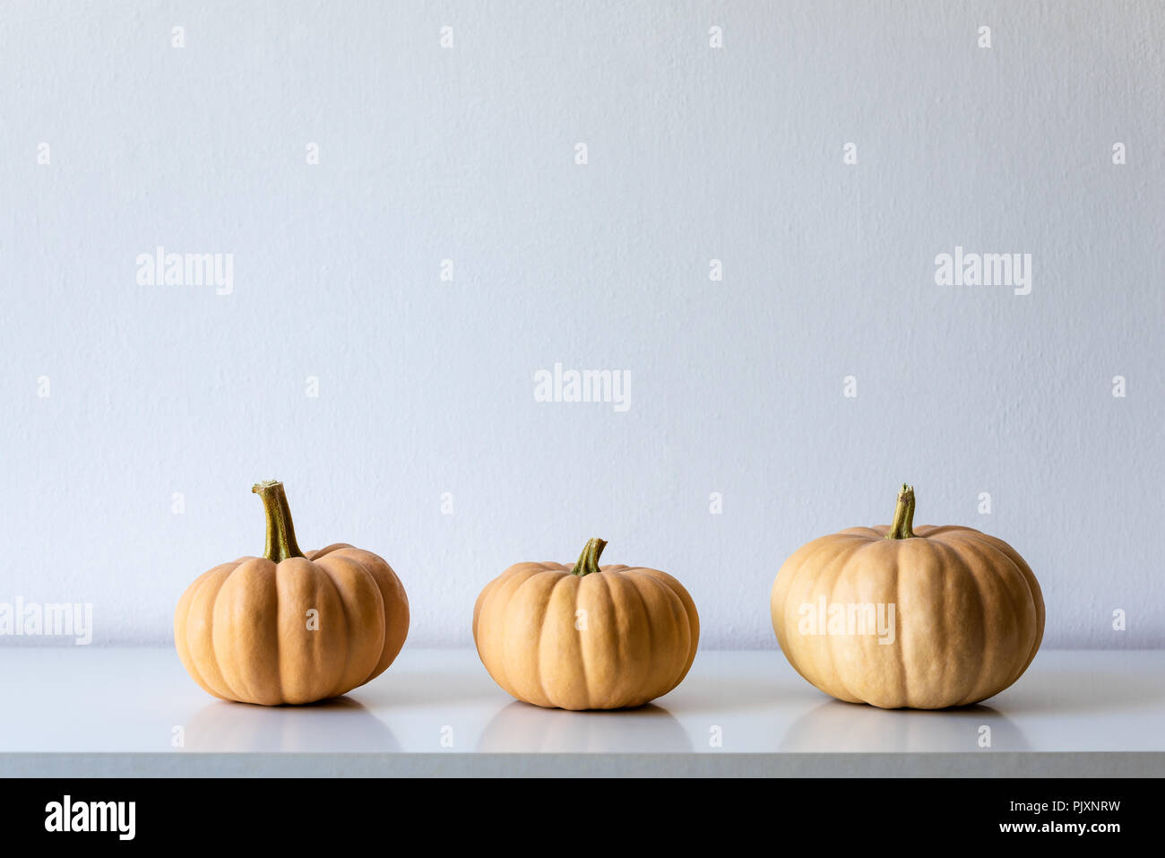 Happy Thanksgiving Background. Three pumpkins on white shelf against white wall. Modern minimal autumn inspired room decoration. Stock Photo