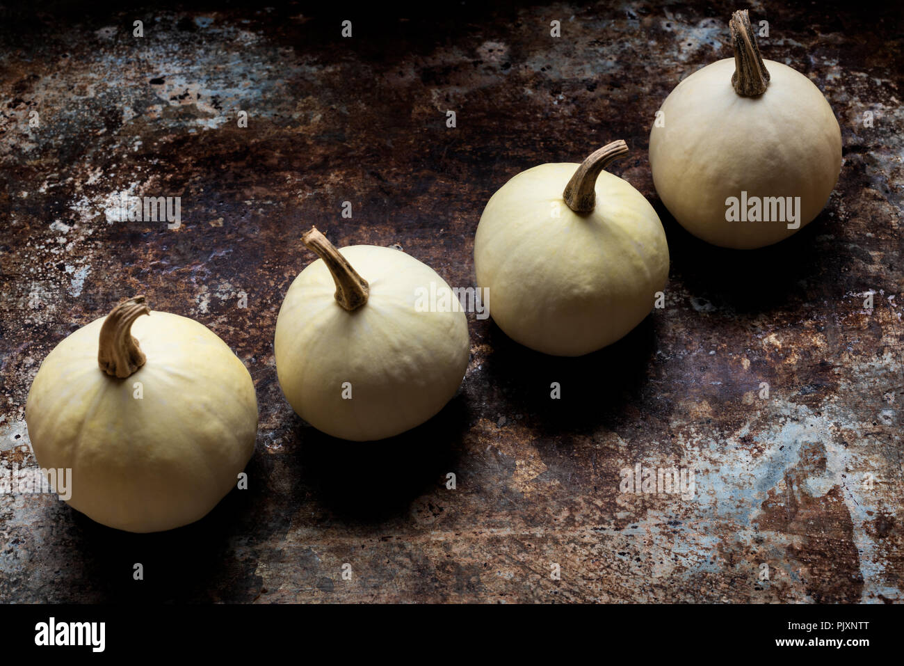Happy Thanksgiving Banner. Three white pumpkins on rustic metal background with copy space. Autumn Harvest and Holiday minimal still life. Stock Photo