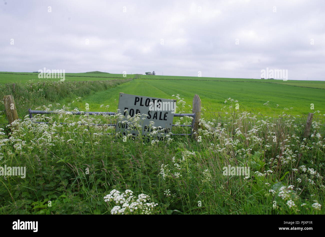 Plots of land for sale sign. John o' groats (Duncansby head) to lands