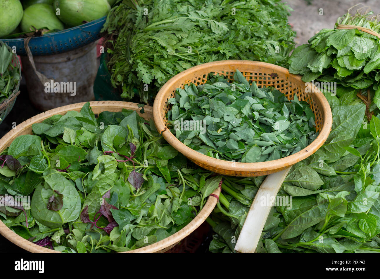 Woven baskets of assorted fresh green herbs Stock Photo