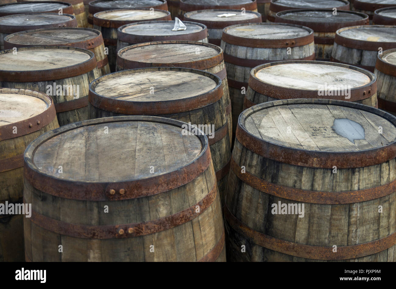 Empty Whisky Barrels at Ardbeg Distillery, Islay, Scotland Stock Photo