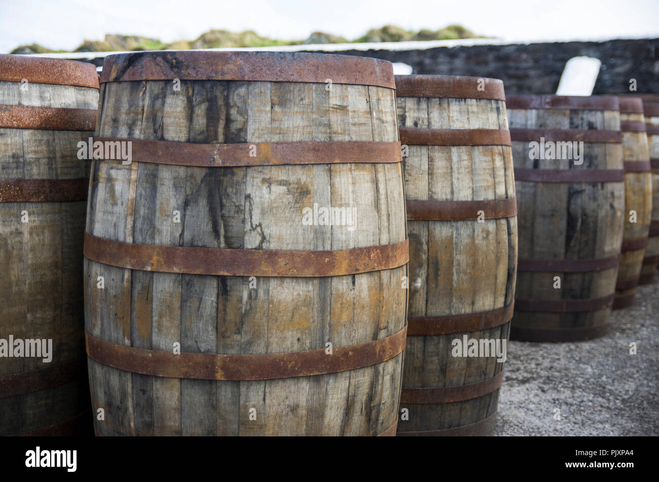 Empty Whisky Barrels at Ardbeg Distillery, Islay, Scotland Stock Photo
