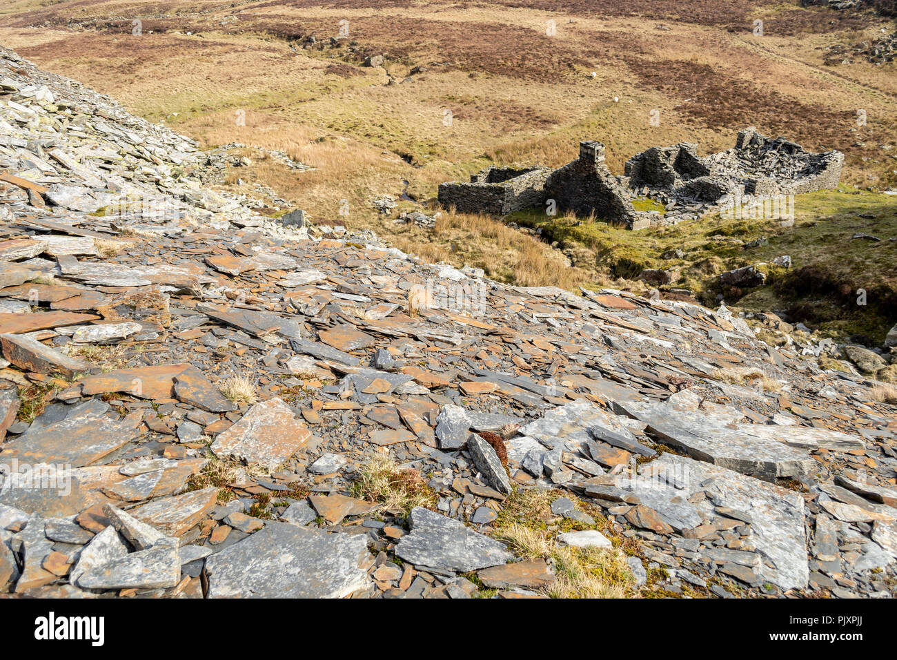 Derelict slate miner's cottage and pile of slate waste on the slopes of Moel Siabod, Snowdonia, North Wales Stock Photo